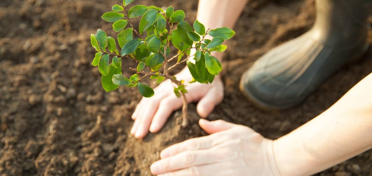 Compromiso Ambiental